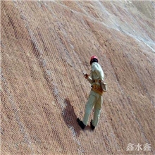 防洪抗洪专用镀锌勾花网广州筛网厂家专业生产铁丝网