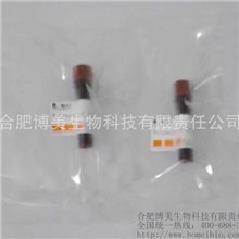 硫酸博莱霉素(硫酸博来霉素、硫酸博莱霉素)9041-93-4--进口5mg