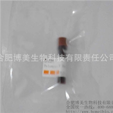 小牛胸腺DNA（脱氧核糖核酸钠）73049-39-5实验sigma试剂25mg