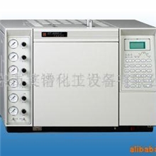 供应气相鲁南色谱仪SP-6800A(图)