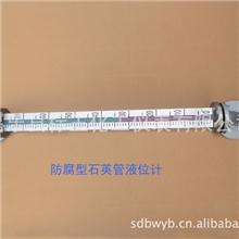 衬氟石英管液位计（弯头式）