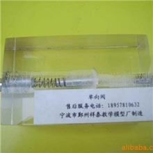 供应透明液压元件单向阀教学模型仪器