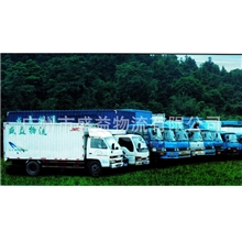 黄埔物流珠三角货运专线货物运输国内陆运安全准时