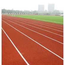 专业供应塑胶跑道、幼儿园专用EPDM塑胶地面
