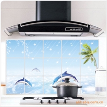 韩国高档铝珀防水防油贴纸/厨房贴纸韩国墙贴纸可擦洗随机