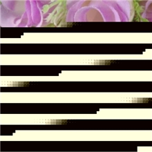 手工韩版蝴蝶结发饰材料黑色皮筋发绳发圈批发