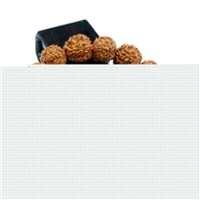 18mm尼泊尔5瓣金刚菩提子手串唯缘阁菩提子批发