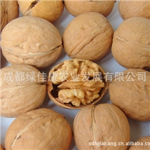 批发大姚核桃薄皮核桃纸皮核桃供应优质核桃仁