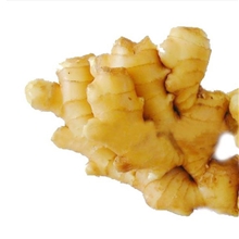 供应质量保证、多种型号的生姜