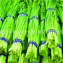 新鲜爽口韭菜开胃助消化韭菜韭菜批发大棚韭菜