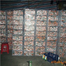 供应优质正宗四会德庆果园种植冰糖桔市场批发价服务