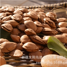 新疆干果批发库车小银杏批发补气壮身