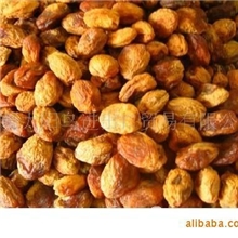 产地直销新疆特产杏干批发自然风干