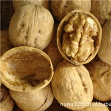 新上市新疆33薄皮核桃，正宗新疆特产,长期批发新疆核桃