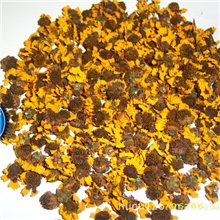 新疆2013昆仑雪菊真正有机产品,降三高的绿色茶