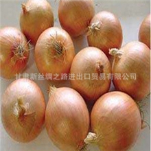 优质供应2013新鲜黄洋葱量大优惠批发