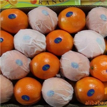 出口伊朗脐橙脐橙柑橘橙启橙脐橙批发脐橙出口