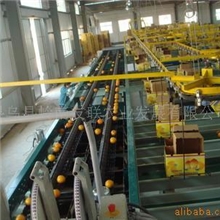 提供赣南脐橙出口加工赣南脐橙脐橙清洗机重量分选机