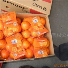 供应寻乌蜜橘、纽贺尔脐橙、密桔、柑橘、寻乌桔子、柑橘批发