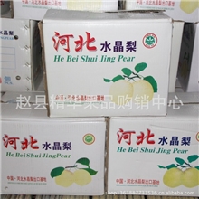 河北水晶梨雪梨鸭梨等各种水果常年有货批发