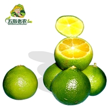 五指老农海南热带水果青金桔