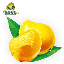五指老农海南热带芒果