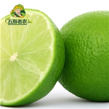 五指老农海南热带琼中绿橙