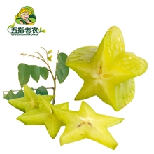 五指老农海南热带杨桃