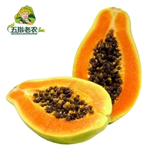 五指老农海南木瓜