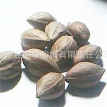 支持验货/保质保量/批发原橄榄核