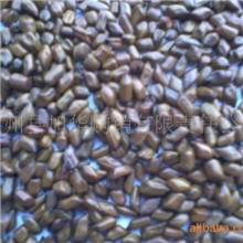 批发供应大量决明子（草决明)等各种原生态中草药材/物美价廉/