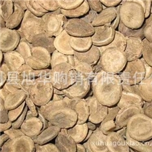 厂家直销正品中药材马钱子通络止痛/消肿散结/类风湿性关节炎