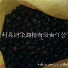 批发供应产地购销美味食材九层皮果米面翁凤眼果【旭华购销】