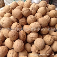 【产地直销】核桃批发货到付款泰山特产纸皮核桃薄皮核桃