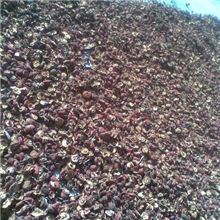 批发优质中药材货到付款无核山楂片/有核山楂片