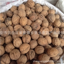 【产地直销】批发核桃核桃批发