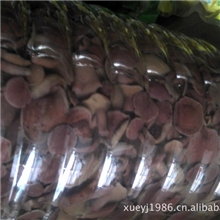 红乳牛肝菌清水桶装红乳牛肝