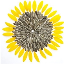 批发供应炒货柯氏兄弟原味葵瓜子原色加香美味可口