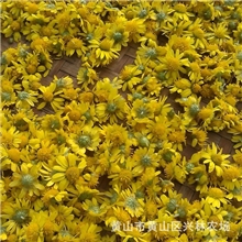 野菊花&mdash;&mdash;天然清热解毒