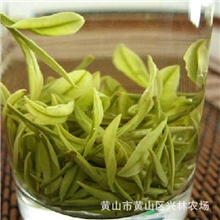 黄山毛峰（三级）