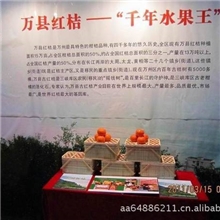 供应红桔；柠檬