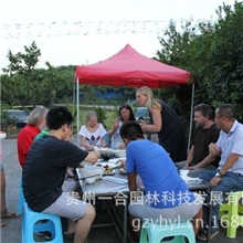 聚会在农庄，开心乐不停