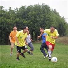 提供娱乐服务足球