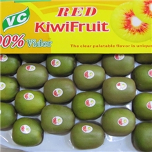 【出口】供应猕猴桃