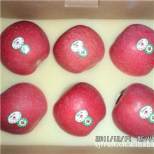 【三江果业】2012供应苹果精品礼盒装