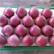 【超市专供】供应红秦冠