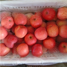 供应洛川苹果