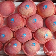 大量供应纸袋富士苹果（超市专供）