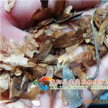 供应一年生黑麦草牧草类种子草籽