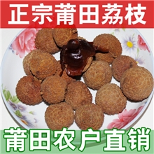 福建特产莆田正宗特级荔枝干农户直销原产地批发